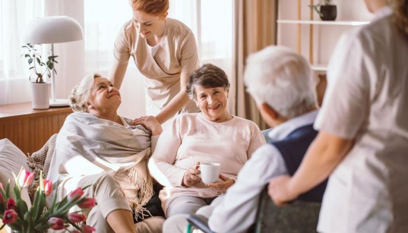 Wellness Design - Base Covid Killer